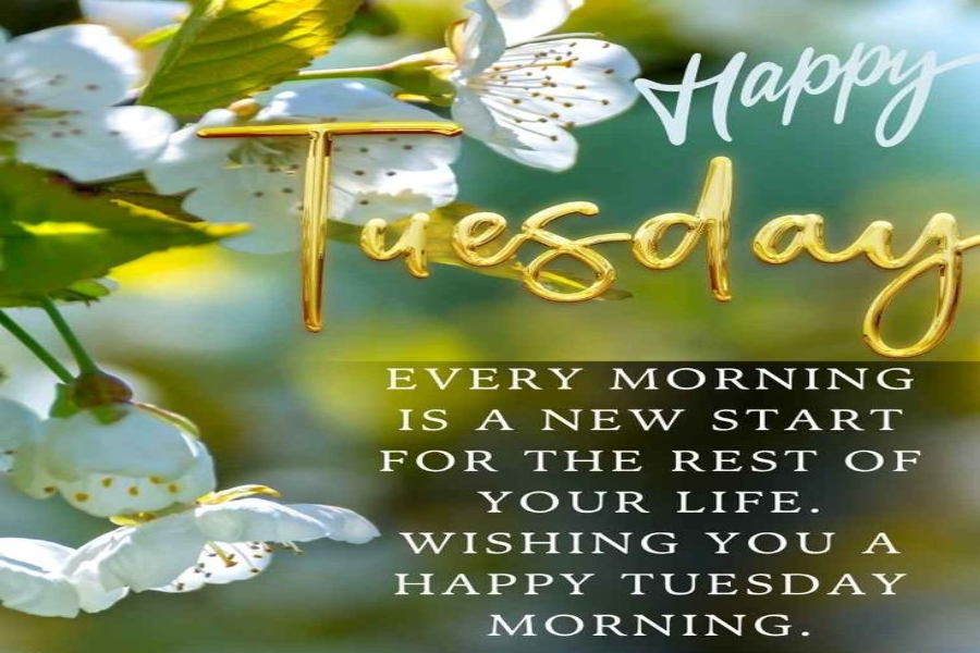 Good Tuesday Morning Blessings