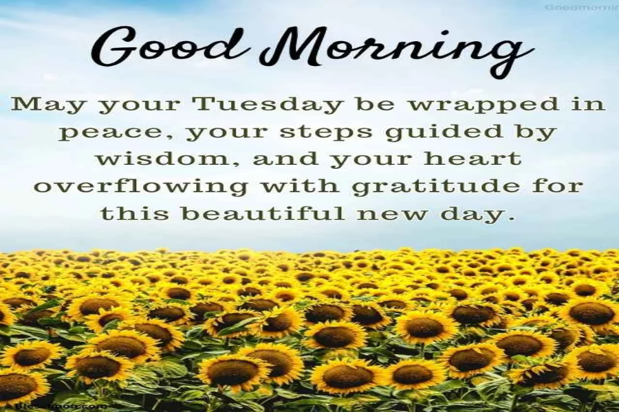 Good Tuesday Morning Blessings