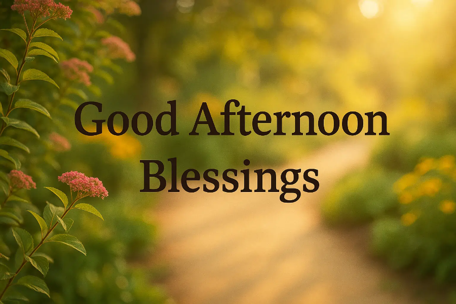 Sunday Afternoon Blessings